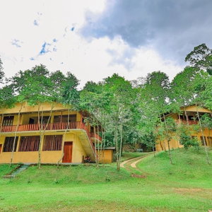 Hotel Sinharaja Eco Lodge cazare Deniyaya