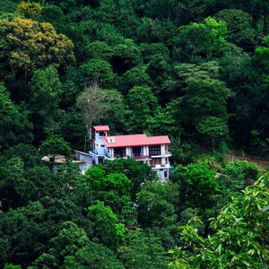 Sejur The Springfields Kandy vacanta Kandy