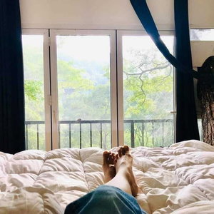 Hotel Tree Nature Resort cazare Badulla