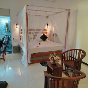 Hotel Robert Ayurweda Villa cazare Bentota
