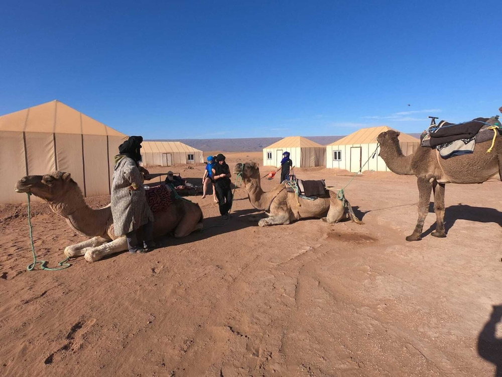 Hotel Starlitdesertcamp
