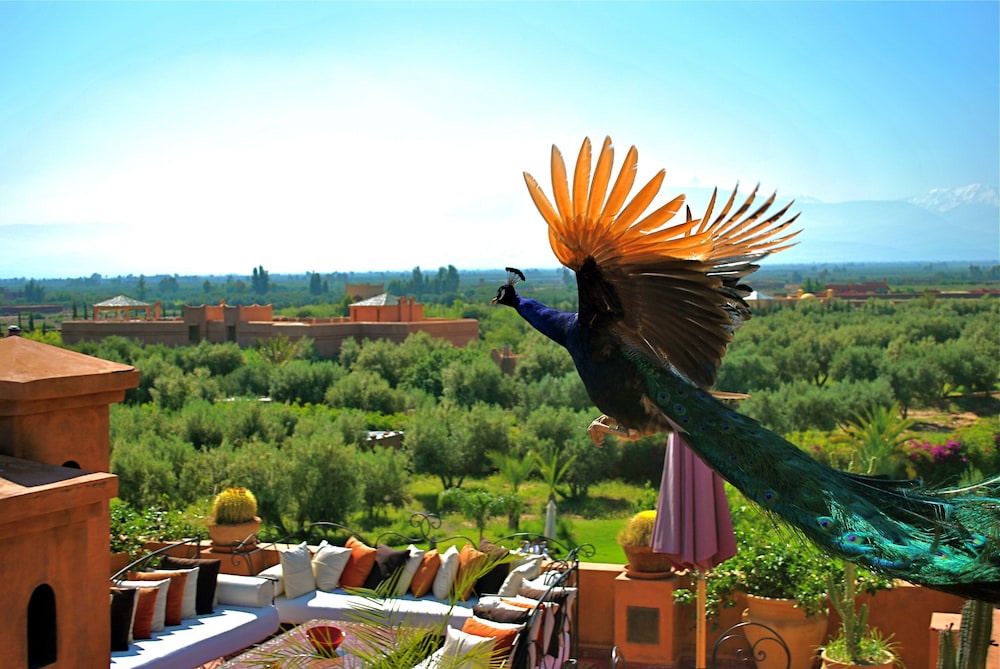 Hotel Riad Al Mendili Private Resort & Spa