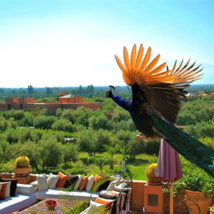 Hotel Riad Al Mendili Private Resort & Spa cazare Sidi Abdallah Ghiat