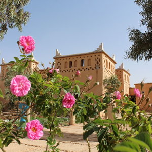 Hotel Maison D'hotes Dar Timitar cazare Kelaat Mgouna