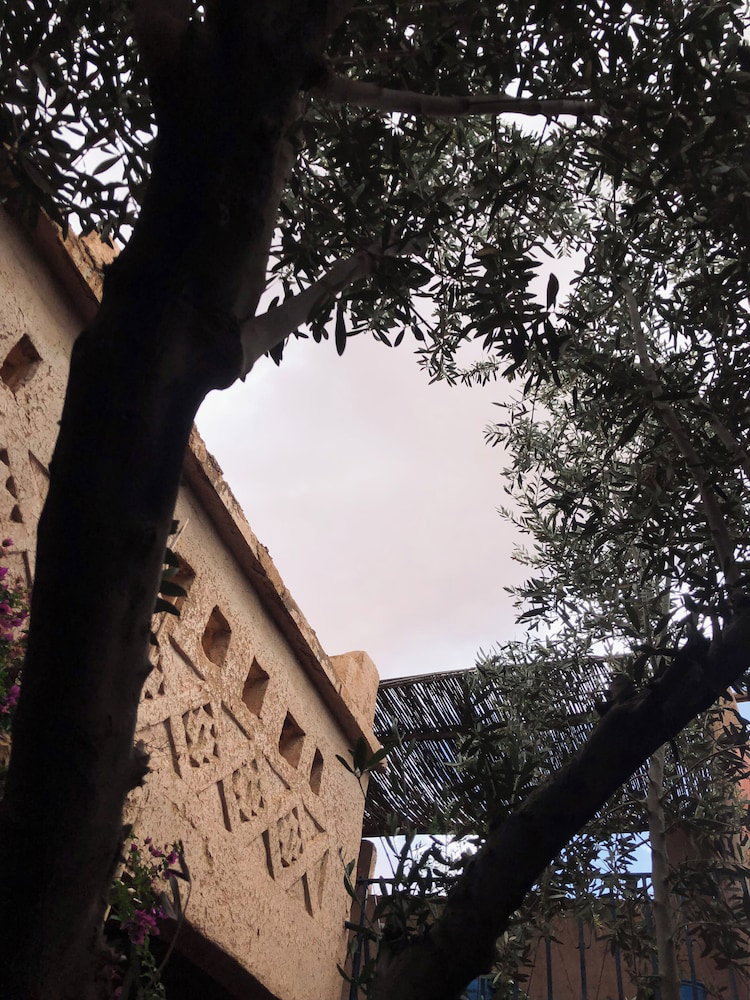 Hotel Kasbah Berbère Ouriz