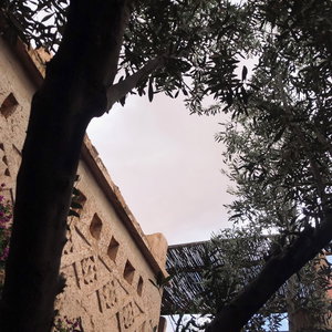 Hotel Kasbah Berbère Ouriz cazare Agdz