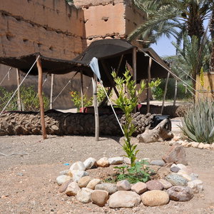 Hotel Bivouac Sous Les Palmiers Bleus cazare Ouijjane