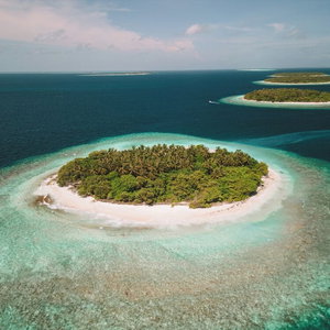 Hotel Dhoani Maldives Guesthouse cazare Dhigufaruvinagandu