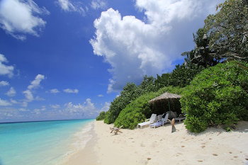 Hotel Paguro Beach Inn