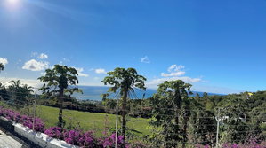 Hotel Charming Lagoon-View Apartment In Rodrigues cazare Baie aux Huitres