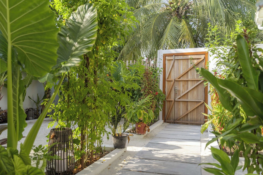 Hotel Oasis Dhigurah