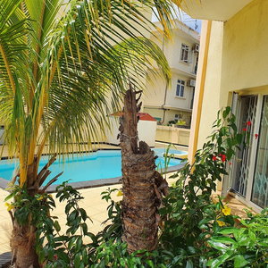 Sejur Captivating 3-Bed Apartment In Flic En Flac vacanta Flic en Flac