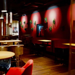 Hotel Amedia Plaza Speyer cazare Speyer