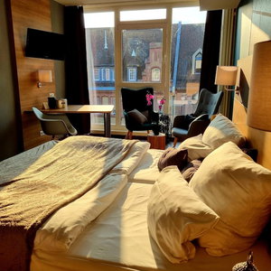 Hotel Hotel Luise Mannheim cazare Mannheim