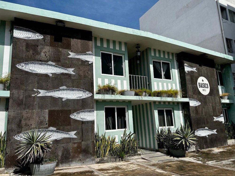 Hotel Mas Basico Hotel