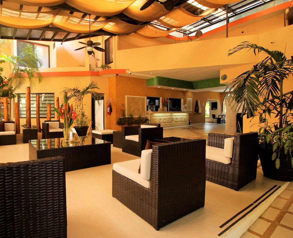 Hotel Maya Tulipanes Express