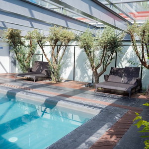 Hotel Holiday Inn Express Pachuca By Ihg cazare Pachuca