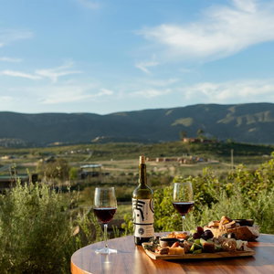 Hotel Banyan Tree Veya Valle De Guadalupe cazare Valle de Guadalupe