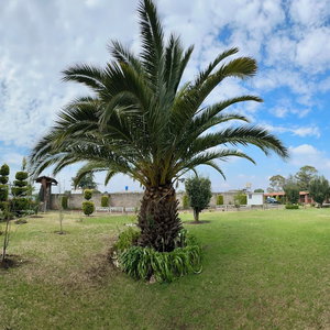 Hotel La Palma, Suites Campestres cazare Jocotitlan