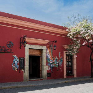 Hotel Parador Del Dominico cazare Oaxaca