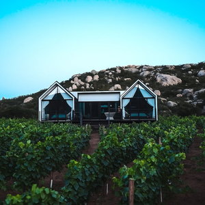 Hotel Oeno Wine Lodge cazare Valle de Guadalupe