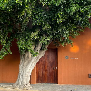 Hotel Casa Carmen Reforma cazare Oaxaca