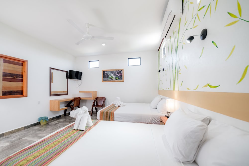 Hotel Hotel Axolotl