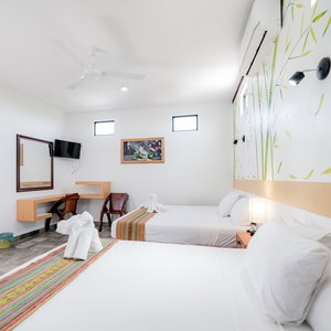 Hotel Hotel Axolotl cazare Puerto Escondido