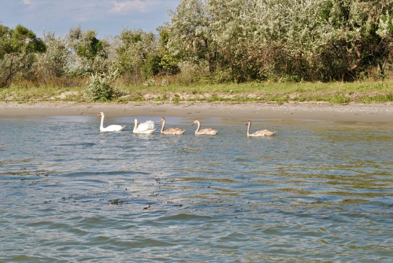 Delta Marina