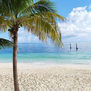 Sejur Hotel Maya Caribe Faranda vacanta Isla Mujeres