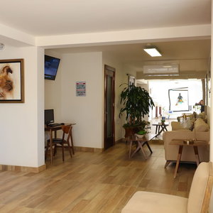 Hotel Hotel Elva cazare Heroica Caborca