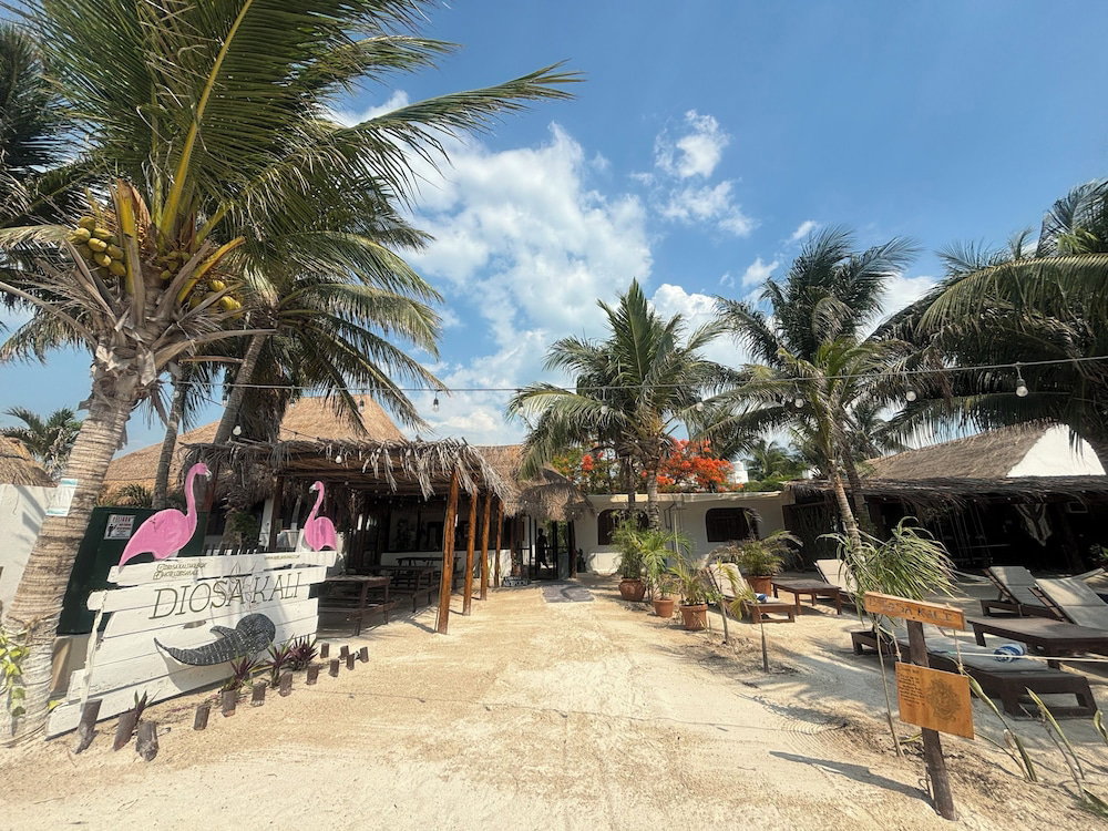 Hotel La Diosa Kali Beach Front Hotel