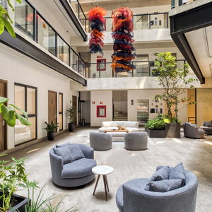 Hotel Uliv Pulse Roma - Condesa cazare Cuauhtemoc