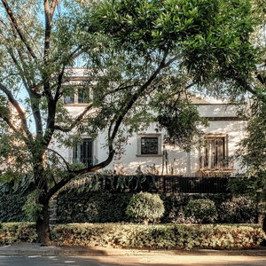 Hotel Pug Seal Polanco Anatole France cazare Polanco