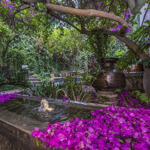 Hotel Casa No Name cazare San Miguel de Allende