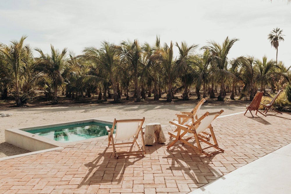 Hotel Proyecto Palmita
