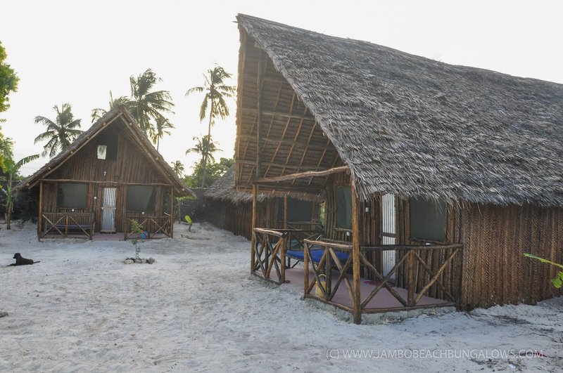 New Jambo Bungalows