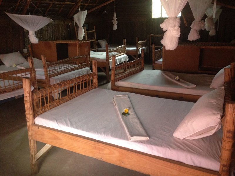 New Jambo Bungalows