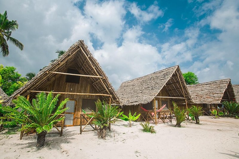 New Jambo Bungalows