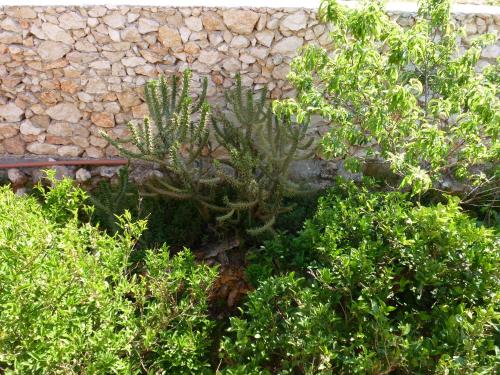 Hotel Marinos Studios At Lourdata Village