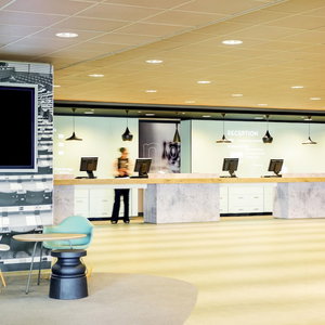 Hotel Hotel Ibis Schiphol Amsterdam Airport cazare Lijnden