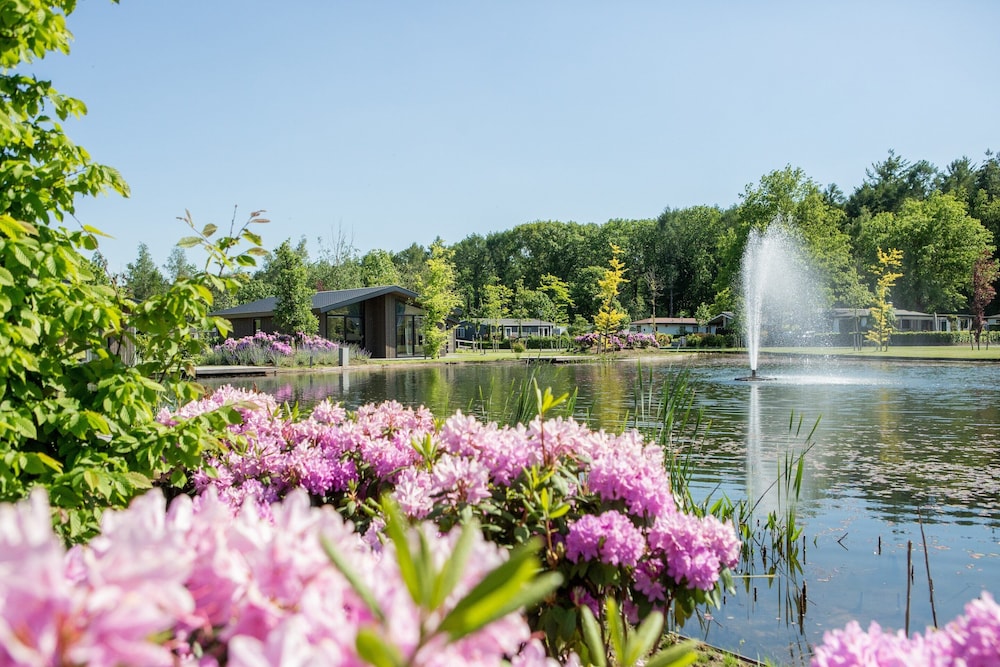 Hotel Chalet By Park Pond In The Netherlands
