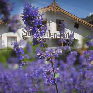 Hotel Sundvolden Hotel cazare Sundvollen