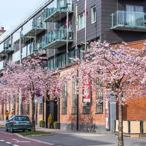 Hotel Kampen Hotel cazare Ensjo
