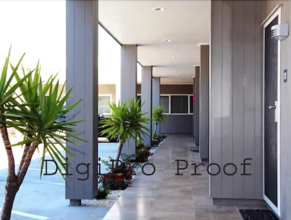Hotel Auckland Phoenix Palm