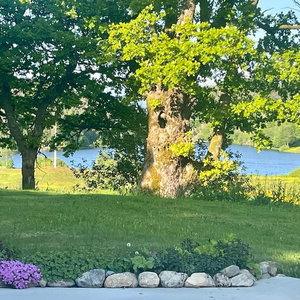 Hotel 4 Person Holiday Home In Omastrand cazare Kvam