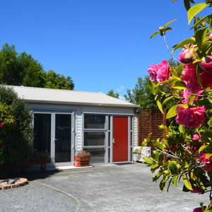 Hotel Mcwilliam Apartments cazare Riccarton