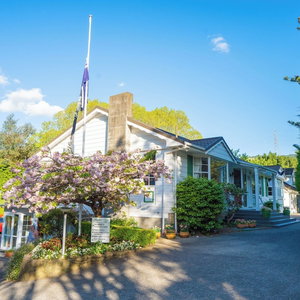 Hotel Bucket Tree Lodge cazare Tawa