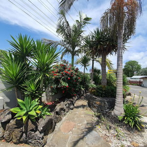 Hotel Ocean Inn Motel cazare Hillcrest