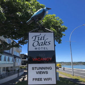 Hotel Tui Oaks Motel cazare Taupo
